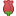 Facebook Rose Emoticon